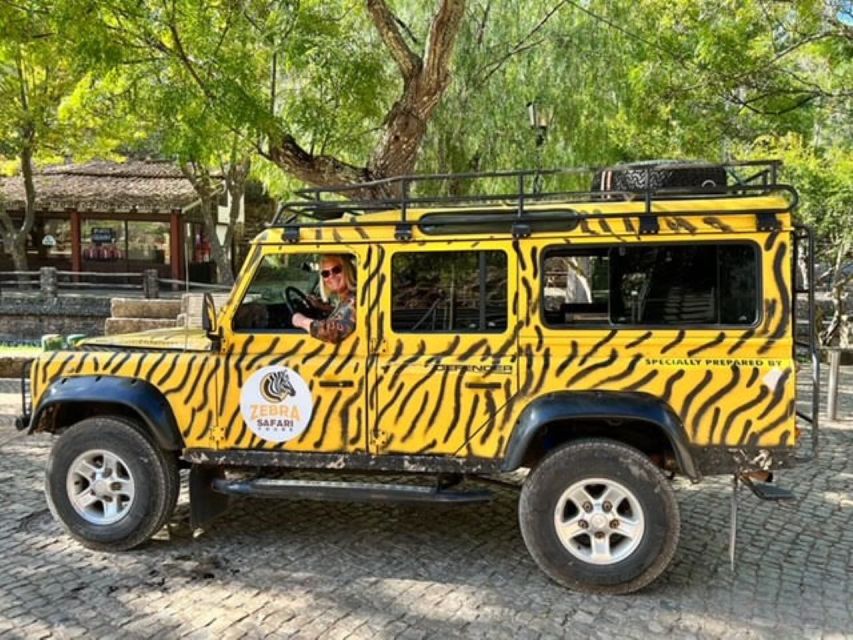 Jeep Safari Tours- Half Day - Tasting and Swimming Experience