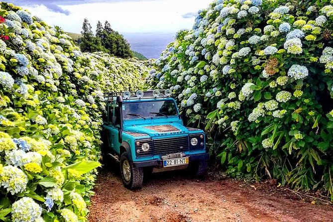 Jeep Tour Full Day Sete Cidades & Lagoa Do Fogo With Lunch and Drinks Included. - Customer Reviews and Feedback