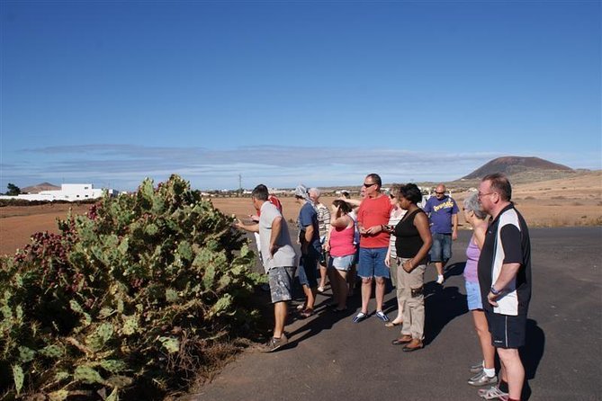 Jeep Tour to Cotillo and Northern Area of Fuerteventura - Essential Details for Booking