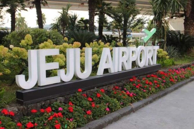 Jeju Airport Transfer - Reviews