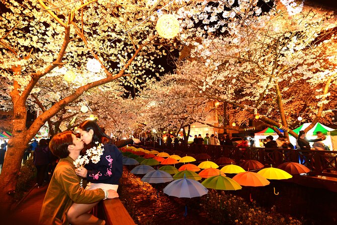 Jinhae Cherry Blossom Festival Tour - Itinerary Details