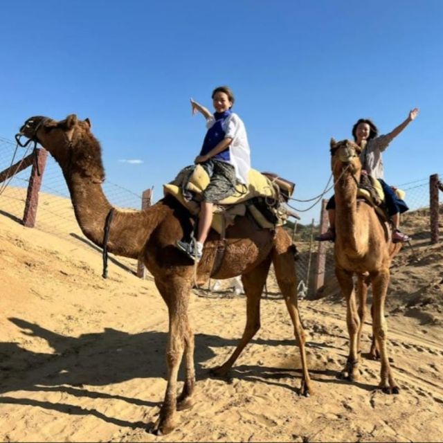 Jodhpur Camel Safari & Overnight Stay In Desert With Sumer - Family Homestay Experience