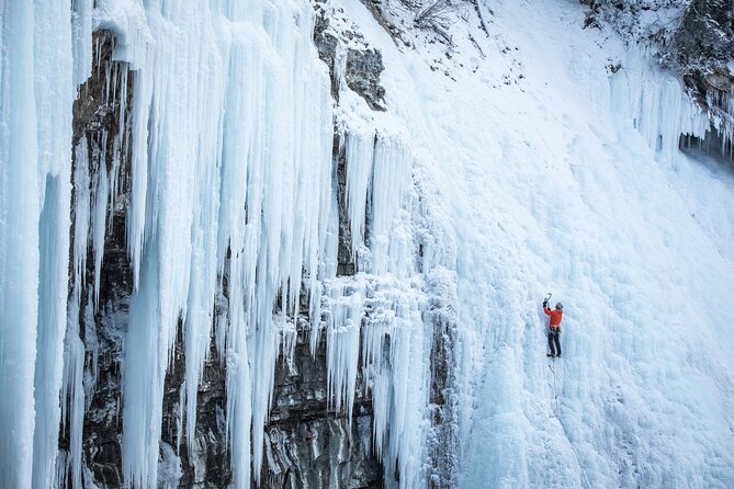 Johnston Canyon Frozen Waterfalls & Banff Backroads Wildlife Tour - Wildlife Spotting Tips