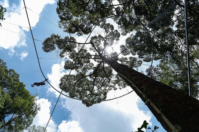 Jungle Flight Zipline Adventure From Chiang Mai - Requirements and Restrictions