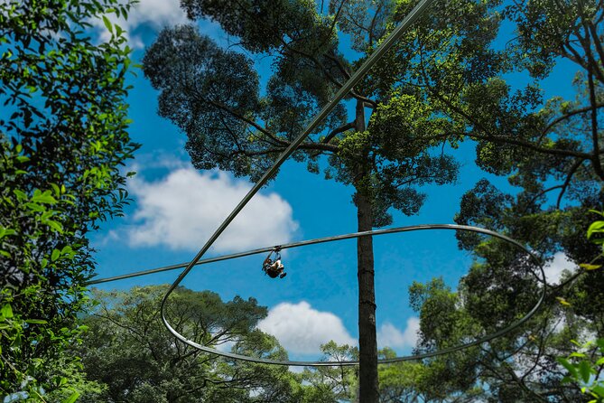 Jungle Flight Zipline Roller Coaster - Traveler Photos