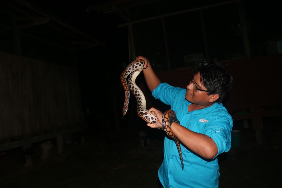 Jungle Night Walk/ Nocturnal Wildlife and Jungle Sounds - Highlights of the Tour