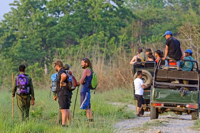 Jungle Safari Tour in Chitwan National Park - Safari Accommodations