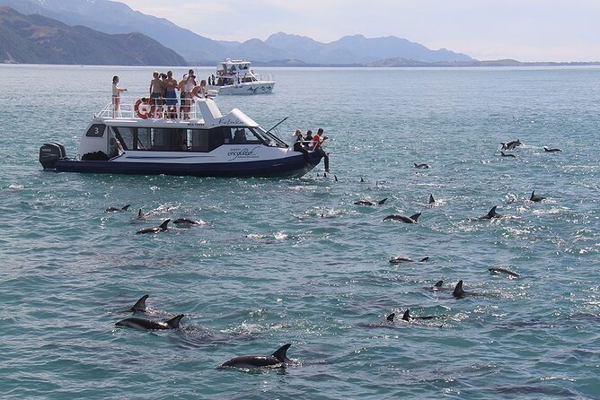 Kaikoura Day Tour With Dolphin Encounter From Christchurch - Destination Highlights