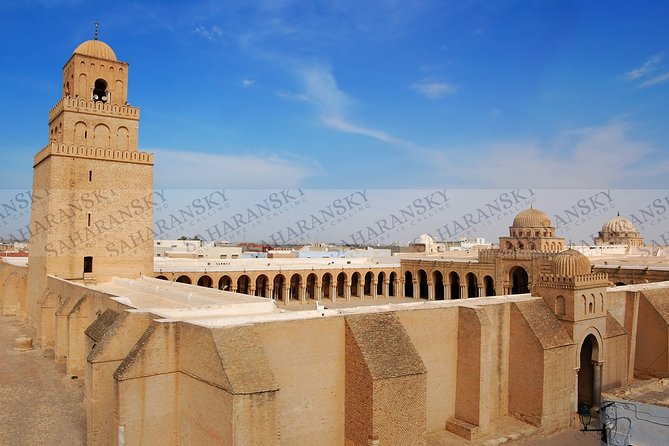 Kairouan and El Jem Private Day Tour With Lunch - Reviews Summary Analysis