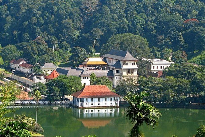 Kandy City Tour by Lux Tours Lanka - Last Words
