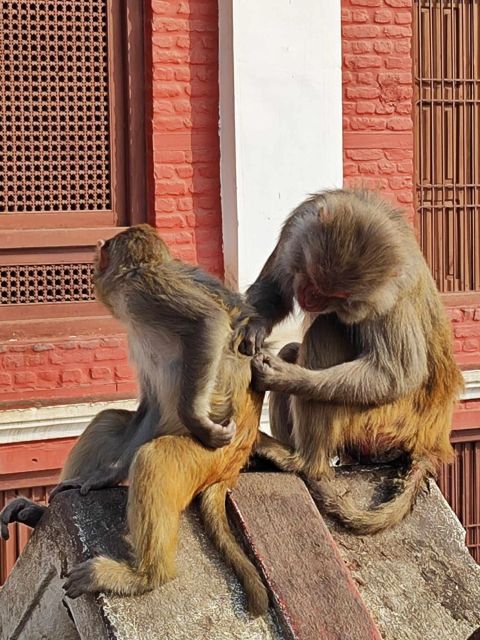 Kathmandu Day Tour: 6 Hours UNESCO Heritage Guided Tour - Practical Information and Booking Details