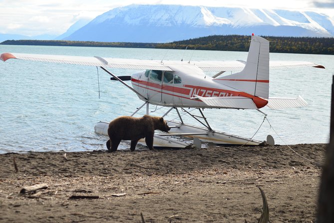 Katmai Brooks Falls Bear Experience - Booking Information