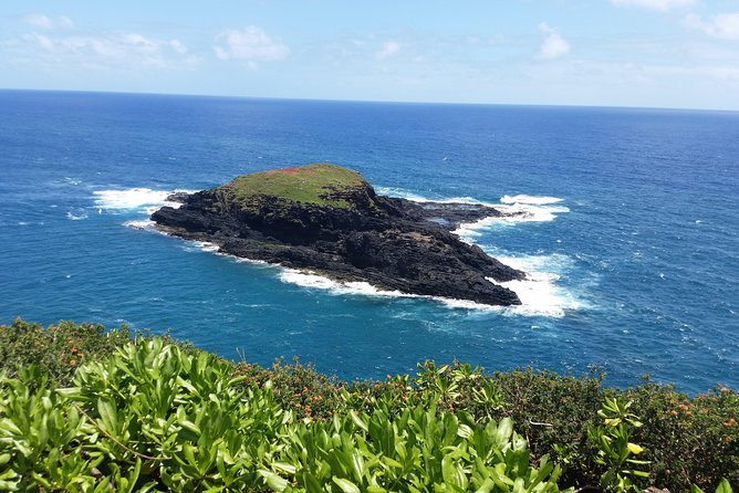 Kauai Waterfalls, Kilauea Lighthouse, Hanalei, Hidden Beaches - Customer Testimonials