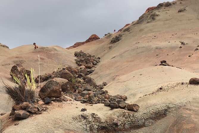 Kauais Waimea Canyon and South Side Private Guided Tour - Tour Highlights and Tailored Experience