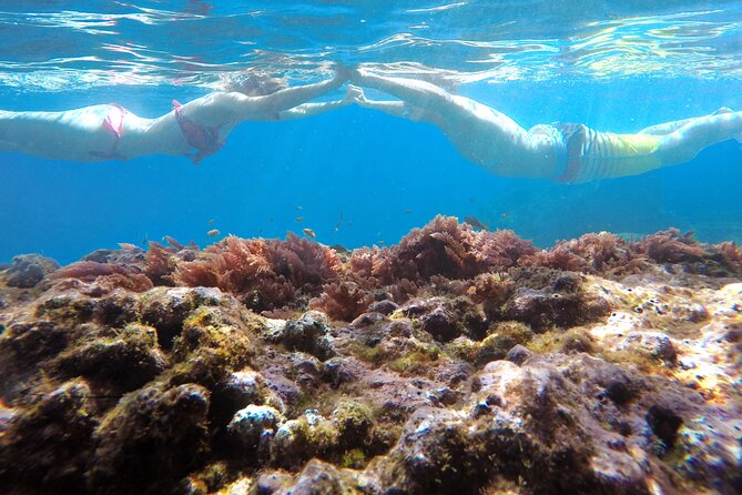 Kayak and Snorkeling Tour in Underwater Nature Reserve Garajau - Customer Experience Highlights