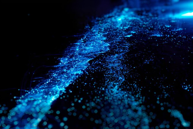 Kayak Bioluminescence Santa Teresa With Transportation - Key Points