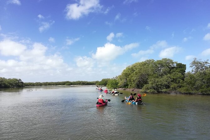 Kayak Experience in the Mangroves of Holbox - Confirmation and Participation
