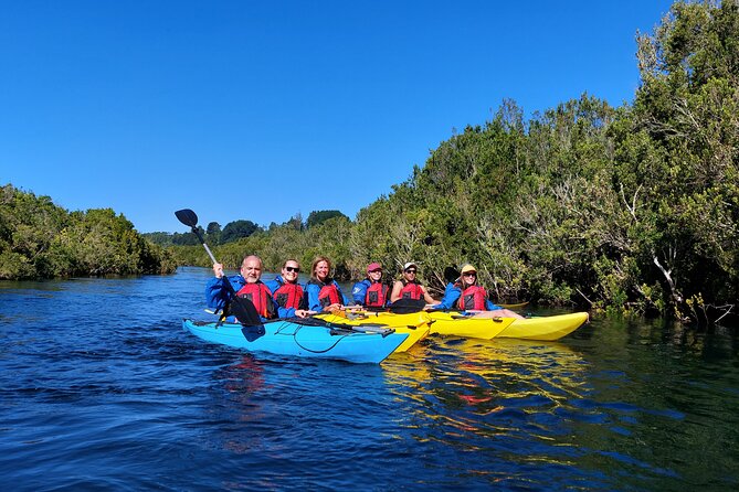 Kayak Through the Sunken Forest of the Maullín River - Last Words