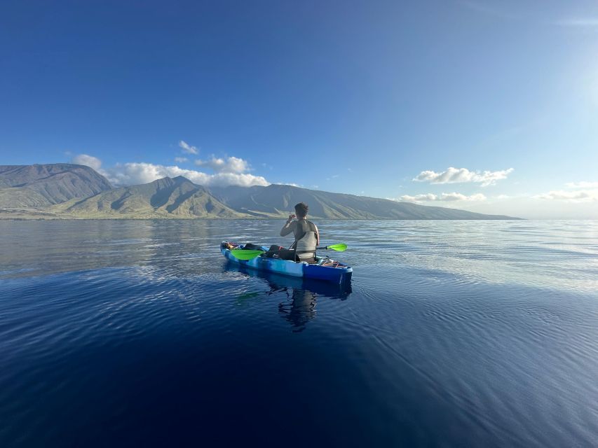 Kayak, Whale Watch And Snorkel At Turtle Town - Location Details