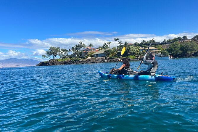 Kayak, Whale Watch, and Snorkel @ Turtle Town With Optional Photo - Traveler Experience Highlights