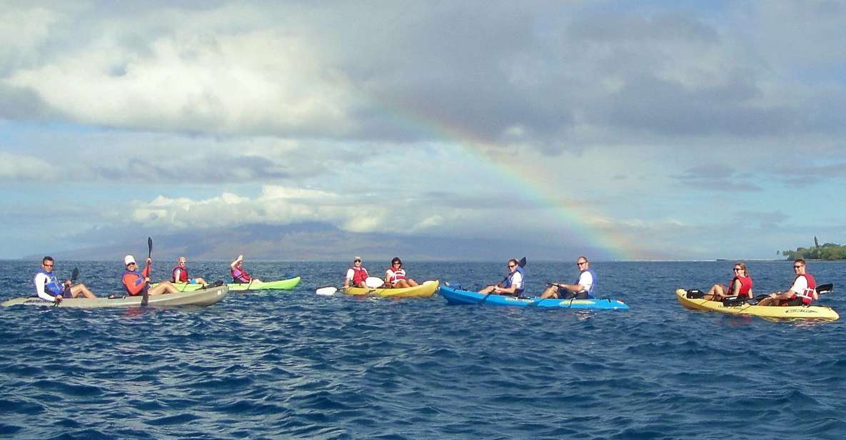 Kayaking and Snorkeling at Turtle Reef - Experience Highlights