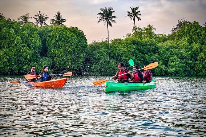 Kayaking in Mangrove Forest of Paravur Backwaters Near Varkala and Kollam - Participant Requirements and Recommendations