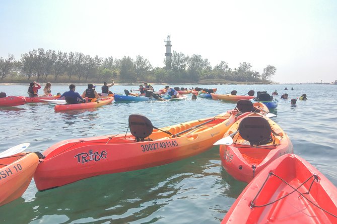 Kayaking on the Island of Sacrifices - Wildlife Spotting Opportunities