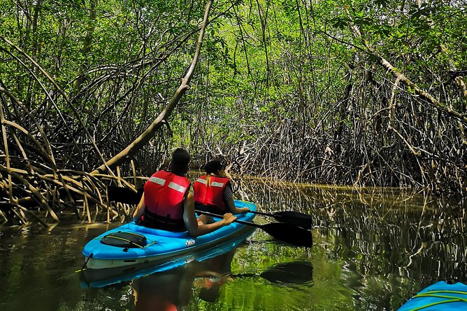 Kayaking Tour Chiriqui - Common questions