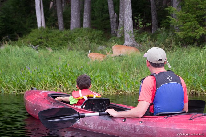 Kejimkujik National Park Paddling Adventure - Media