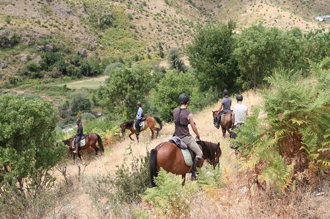 Kemer Horse Safari Experience With Free Hotel Transfer - Cancellation Policy