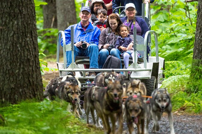 Kennel Tour and Dog Sled Ride - Reviews and Visitor Feedback