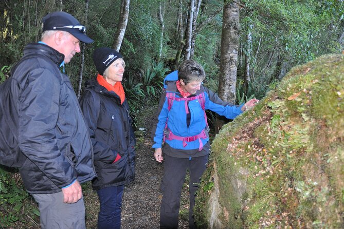 Kepler Track Boat and Hike - Review Highlights