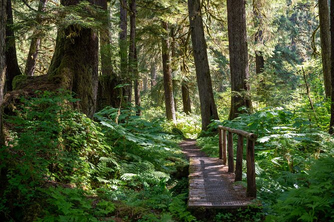 Ketchikan Magical Old-Growth Creek Trek Guided Tour - Cancellation Policy