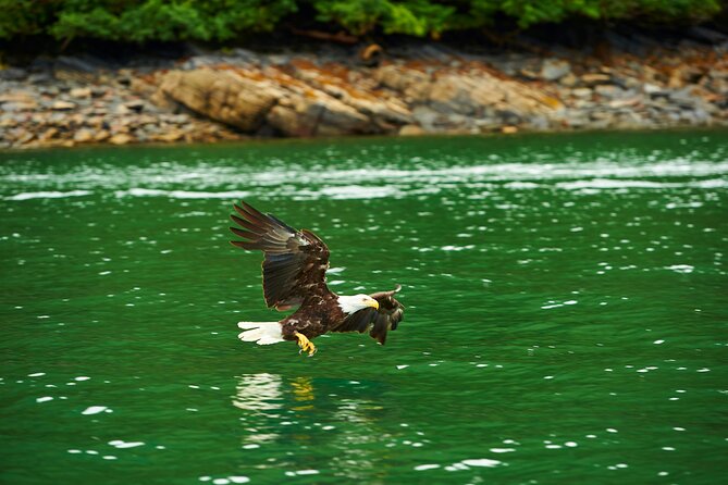 Ketchikan Wildlife-Viewing Hovercraft Tour - Meeting and Pickup Details