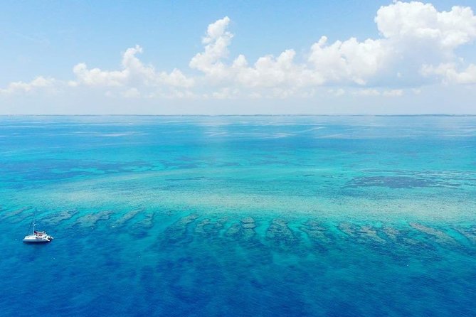 Key West Afternoon Reef Snorkeling With Open Bar - Participant Requirements