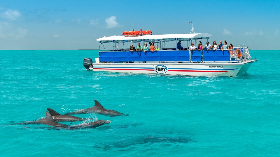 Key West: Dolphin Watching and Snorkeling Eco Cruise Tour - Customer Reviews