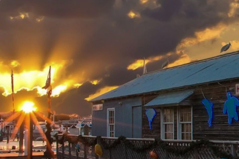 Key West: Hemingway's Life and Local Food Walking Tour - Tour Highlights