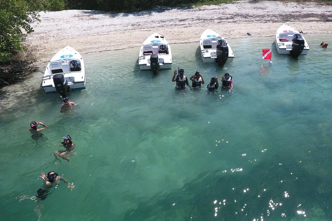 Key West Safari Eco Tour Adventure With Snorkeling - Experience Highlights and Activities