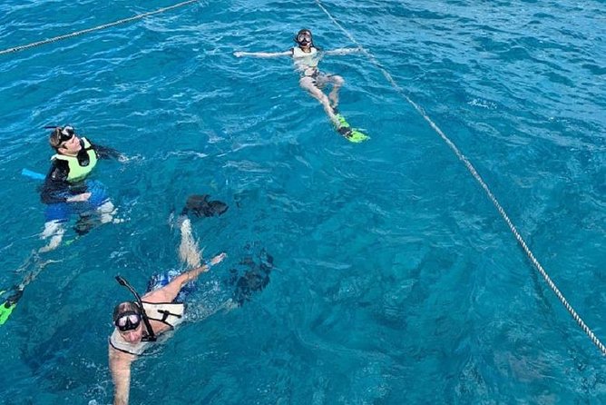 Key West Snorkel Experience With Live Music, Cocktails & More! - Customer Reviews and Recommendations