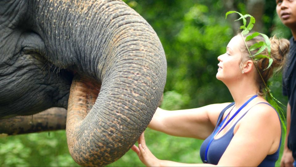 Khao Lak: Elephant Care Experience - Full Activity Description