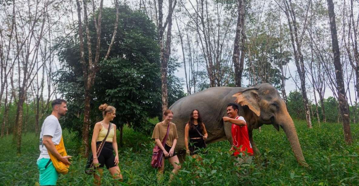 Khao Lak: Guided Walk & Feed Elephant Experience With Pickup - Starting/Pickup Details