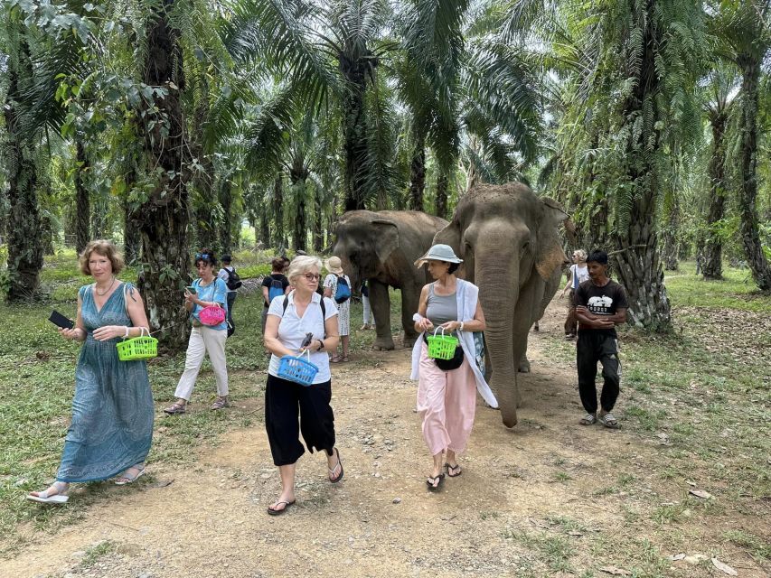 Khao Lak: Khao Sok Elephant Sanctuary and Night Jungle Walk - Khaosok Monkey Temple & Jungle Adventure