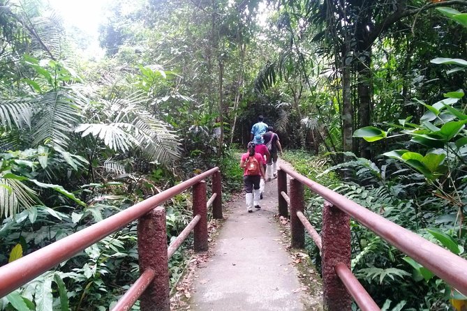 Khao Yai National Park Hiking Day Tour: Haew Narok and Haew Suwat - Customer Feedback and Reviews