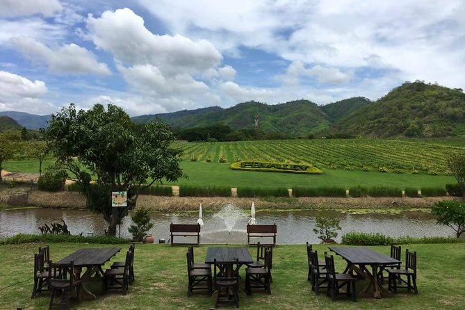 Khao Yai Winery - Vineyard Tours & Animal Lover With Horse Farm - Cancellation Policy and Reviews