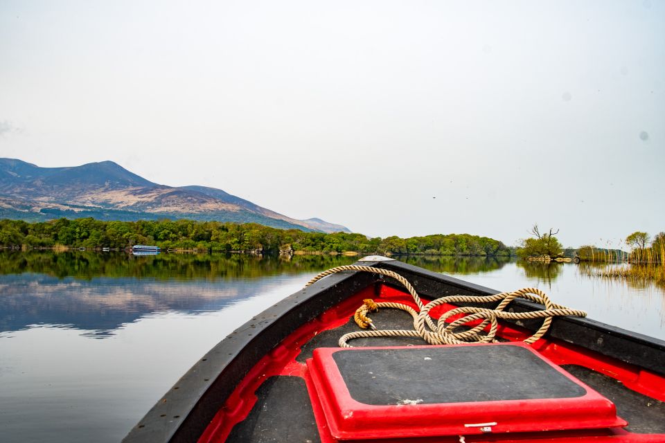 Killarney: Guided Boat Tour to Innisfallen Island - Tour Inclusions