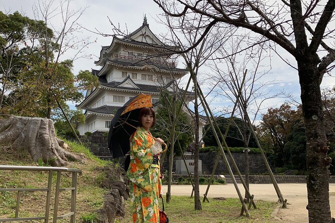 Kimono Dressing & Tea Ceremony Experience at a Beautiful Castle - Logistics