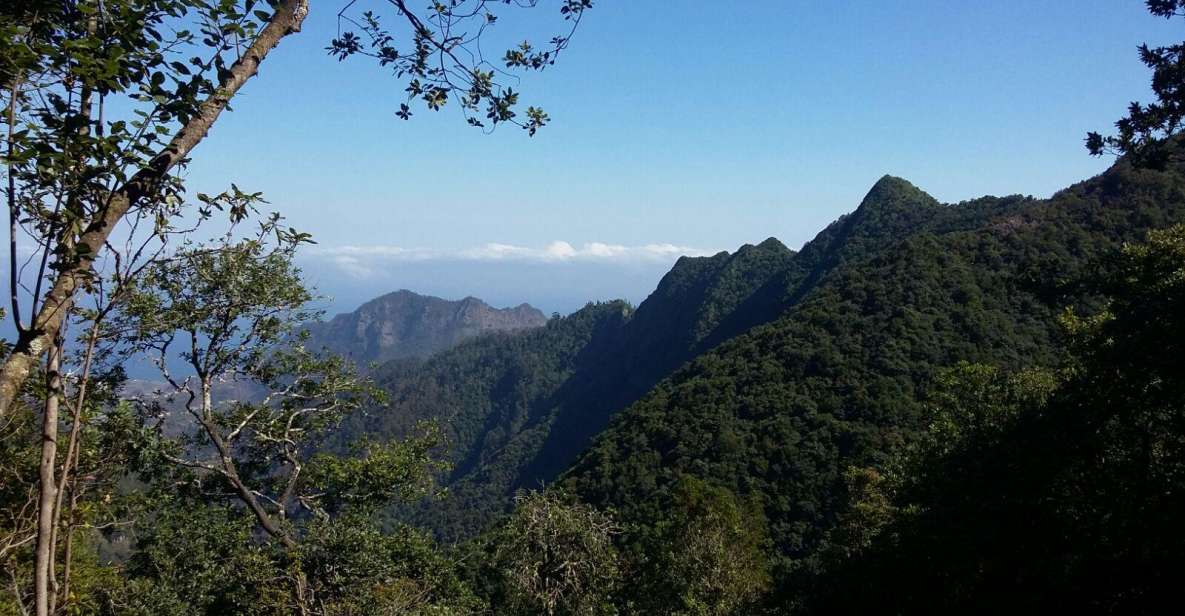 Kings Levada (Ribeiro Bonito) - Location Description