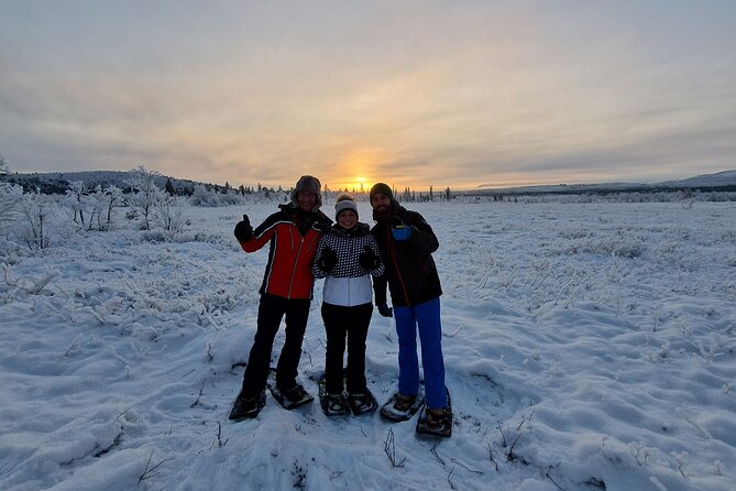 Kiruna Small-Group Snowshoe Activity - Traveler Experience and Recommendations