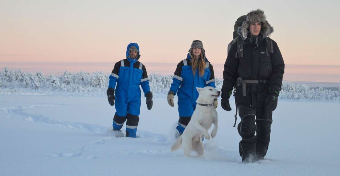 Kiruna: Snowshoe Hike & Ice Fishing Tour - Review Summary