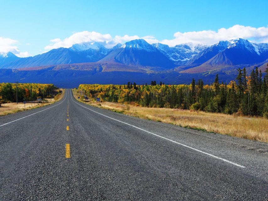 Kluane National Park: Full Day Tour - Immerse in Northern Culture